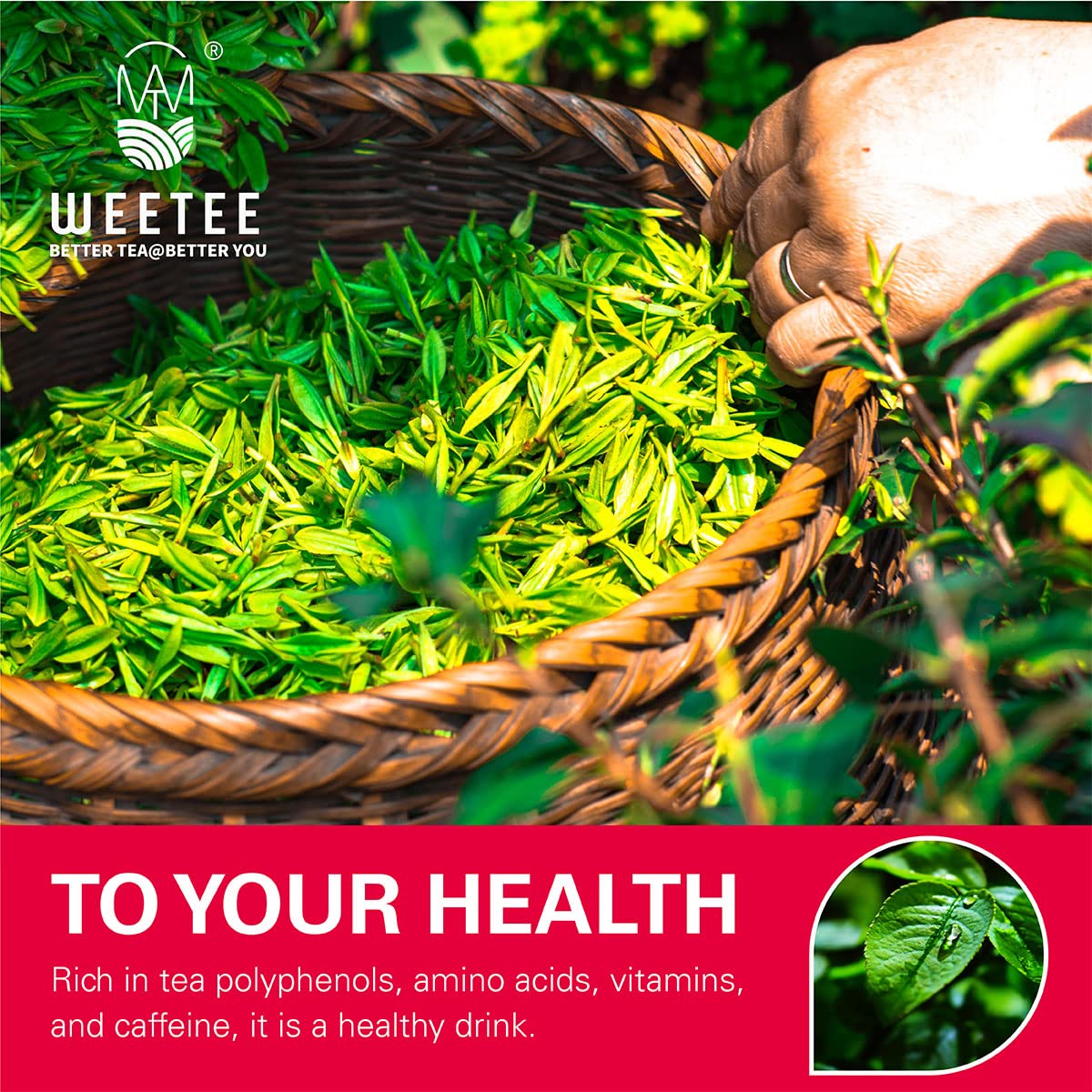 Wt Weetee Organic Black Tea Bags, Organic Black Tea 100 Count, Antioxidant, Caffeinated | Resealable Kraft Bag | Brew Hot Or Iced