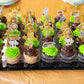 Honbay 48Pcs Double Sided Zoo Animal Theme Dessert Muffin Cake Cupcake Toppers Picks Cake Decoration For Jungle Safari Themed Pa