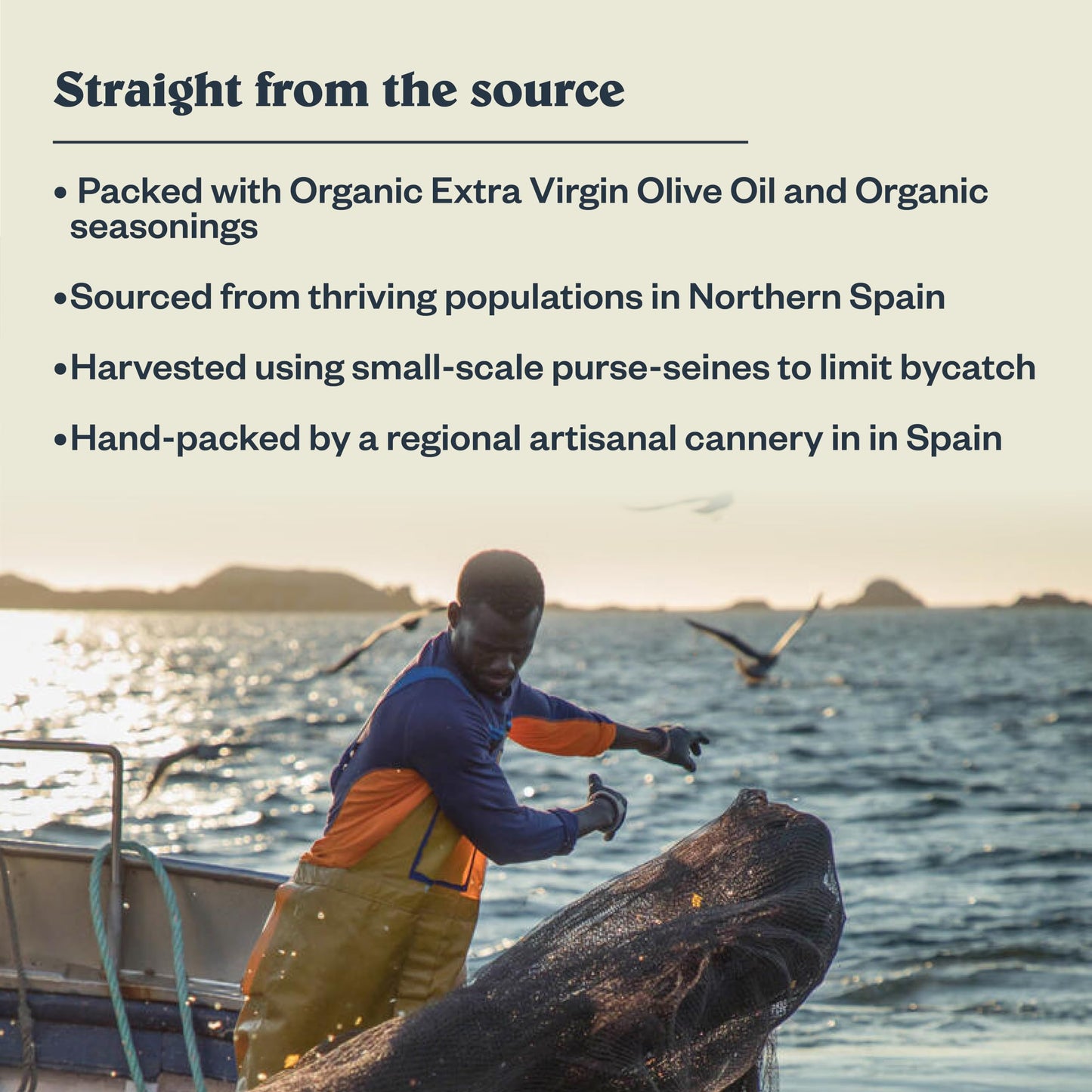 Patagonia Provisions Roasted Garlic White Anchovies, 21g Protein, Gluten Free, 4.2 Oz, Pack of 1, Model PGP02190