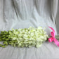 Fresh Cut Flowers - Dendrobium Orchids White