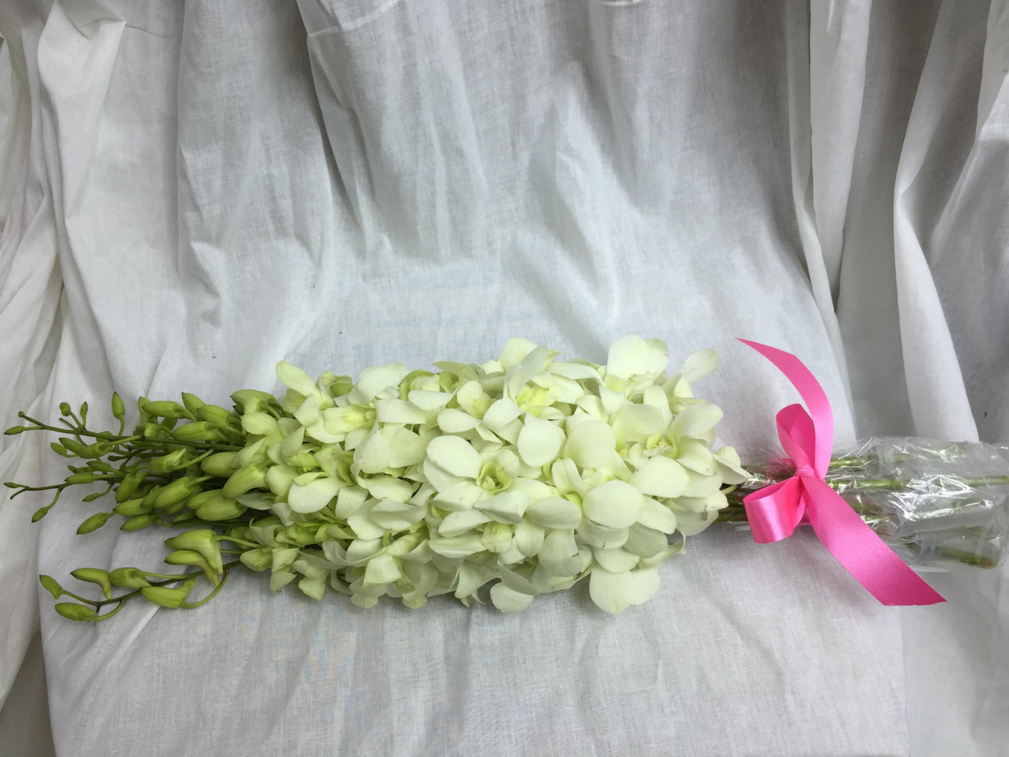 Fresh Cut Flowers - Dendrobium Orchids White