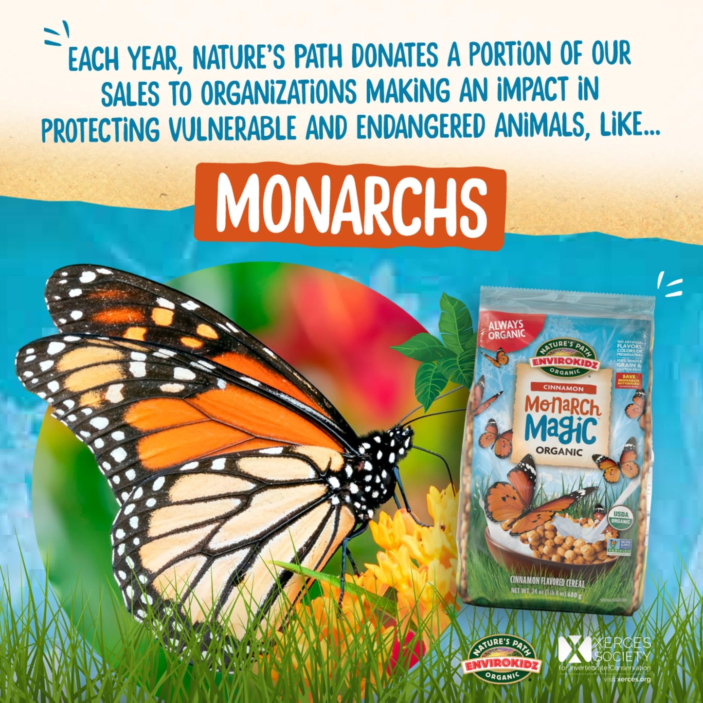 Envirokidz Organic Monarch Magic Cereal, 24 Oz (Pack Of 1), Cinnamon, Gluten Free, Non-Gmo, By Nature'S Path
