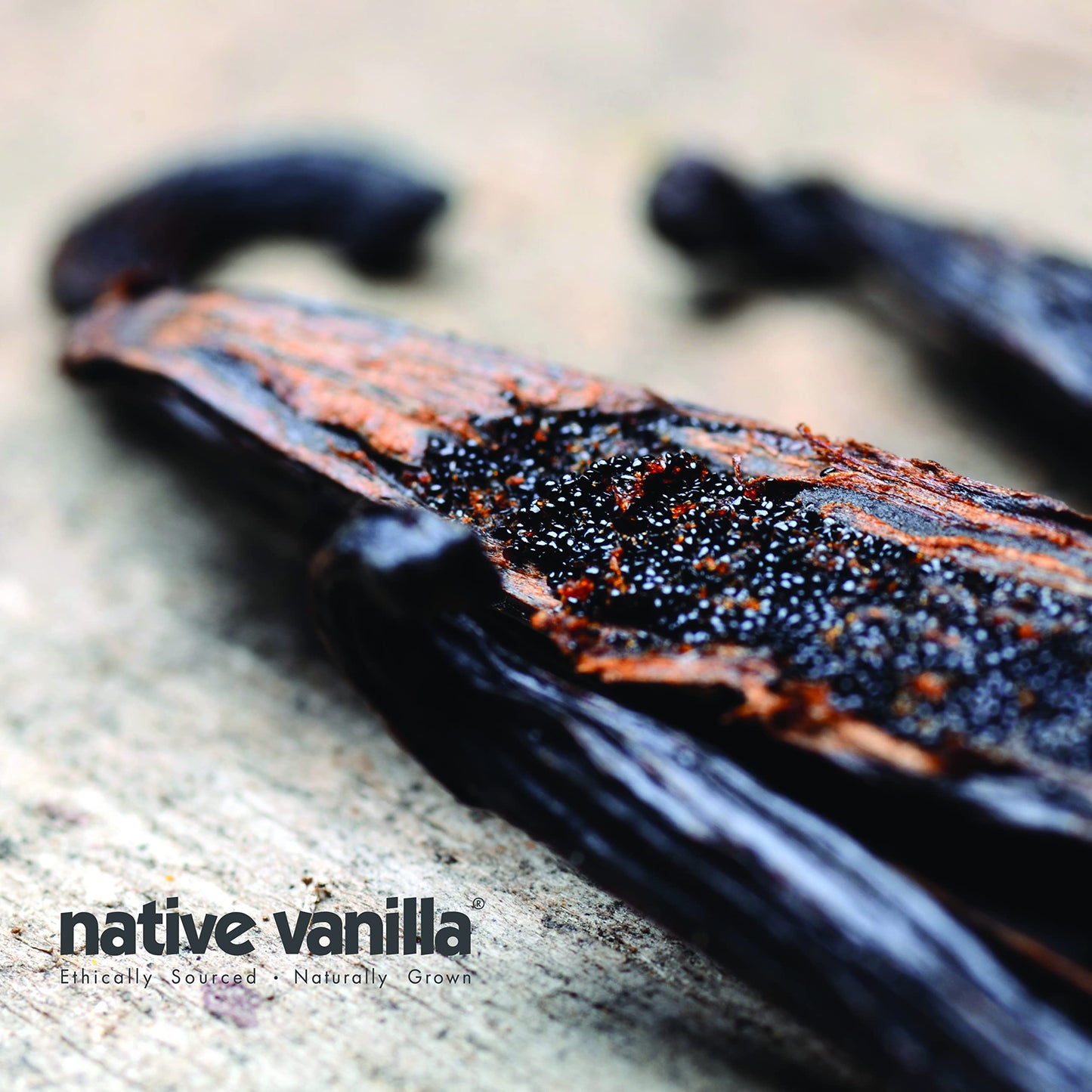 10 Organic Madagascar Vanilla Beans - Grade A Premium Vanilla Pods - 30-35% Moisture Content - For Cooking, Baking & Desserts -