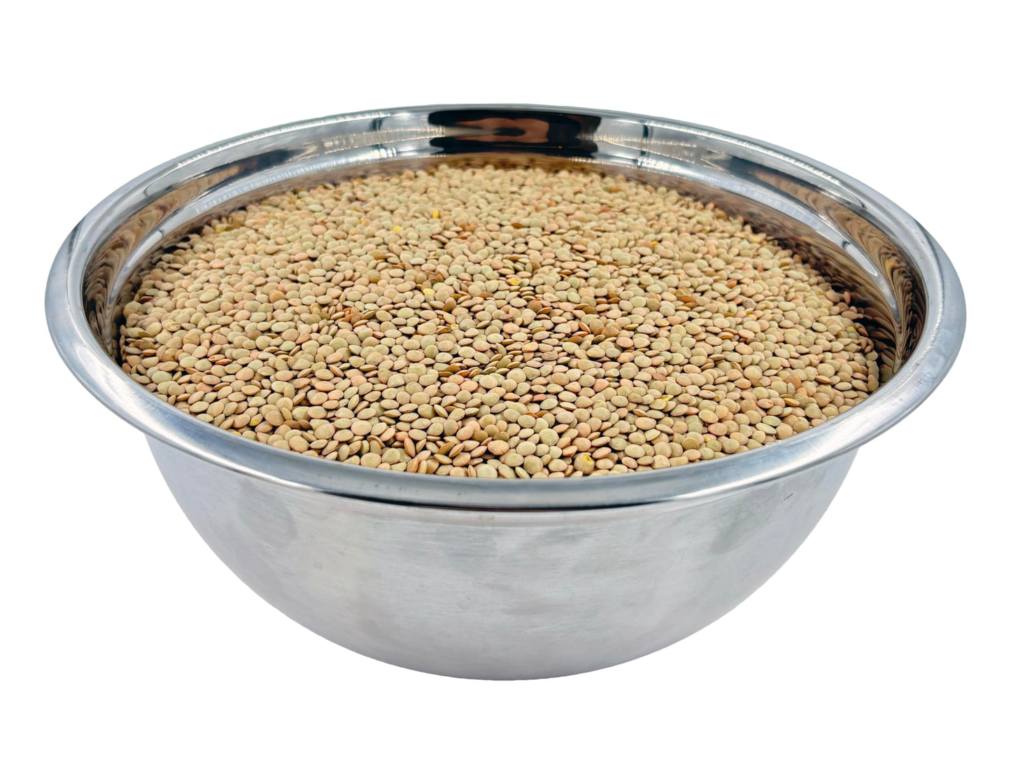 Dried Green Lentils Dasher'S Spice & Beans | Triple Washed | 8 Lbs.