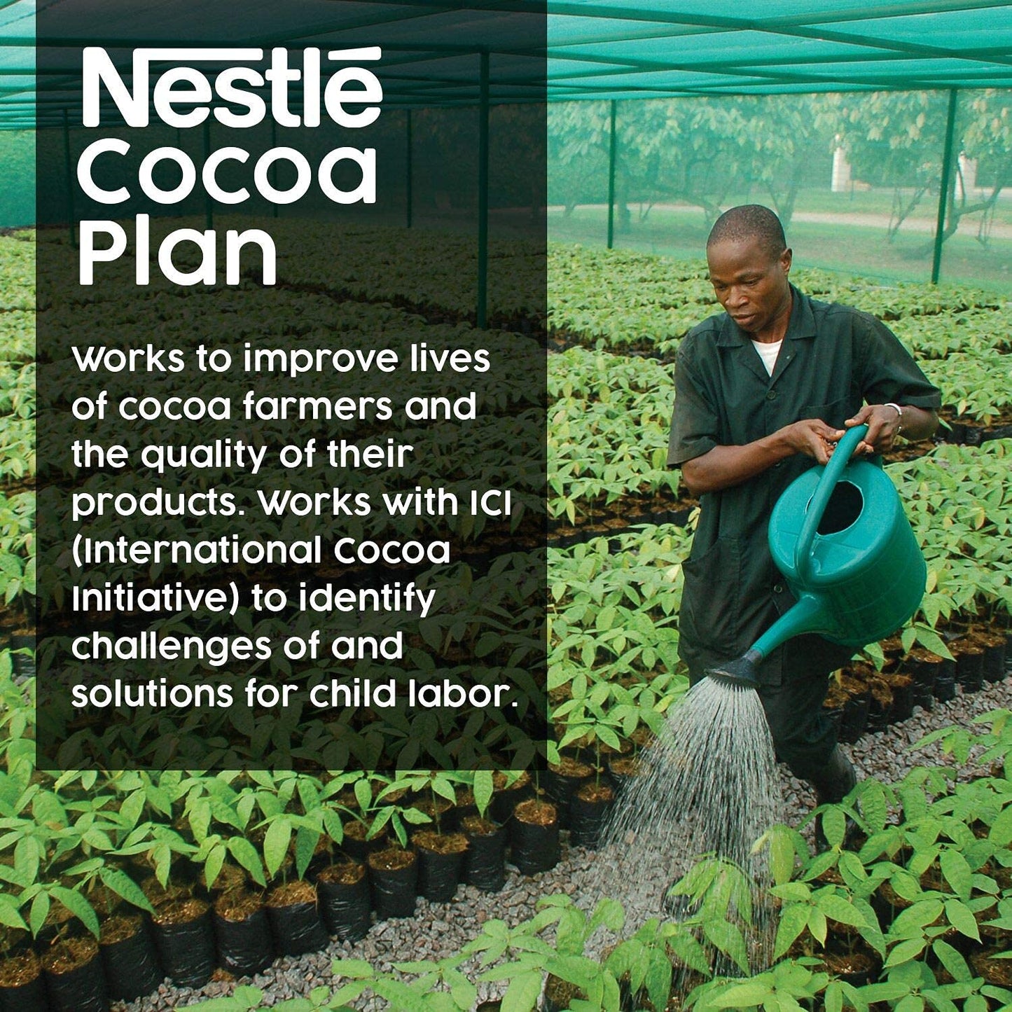 Nestle Hot Cocoa Dark Chocolate Flavor Mix, Bulk Pack of 300, 0.71 oz Packets, Rich Brown