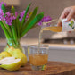 Pomona Organic Pear Juice, Cold Pressed, USDA Organic, No Added Sugar, Vegan, 8.4 Fl Oz (Pack of 12), Non-GMO, Kosher