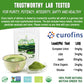 Efoofan Organic Matcha Green Tea Powder, Premium Culinary Grade (4Oz), Japanese Tencha Flavor, First Harvest, Te Marcha Organico