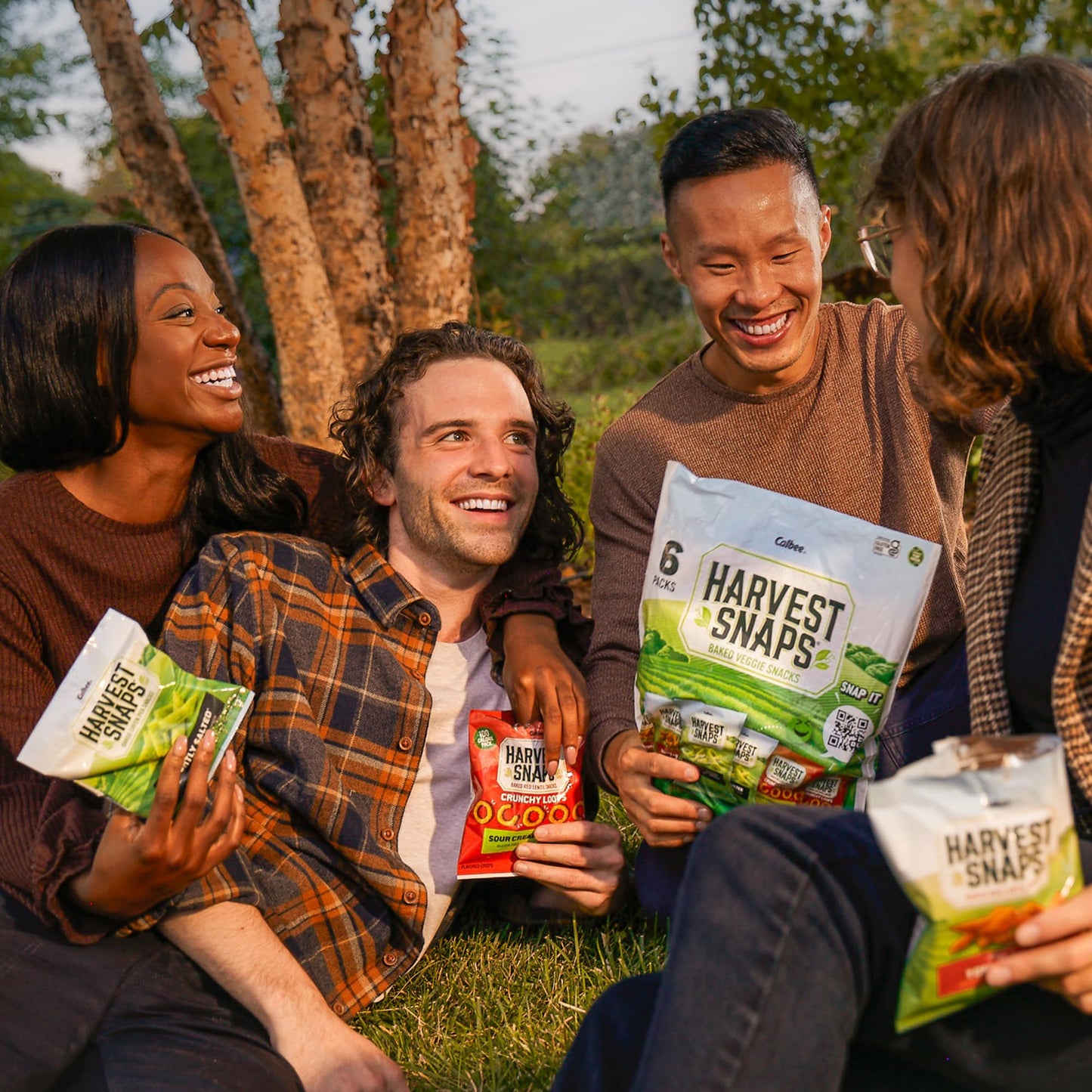 Harvest Snaps Veggie Chips (Variety Pack 5 Flavors) | Powered By Plant Protein, Gluten Free, Non-Gmo Baked Vegetable Crisps | Ma