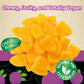 Amos Chewtopia Passion Fruit Gummy Jerky - Vegan Chewy Fruit Snack, Tropical Passion Fruit Flavor, Soft & Chewy Candy, 8.47Oz Bo