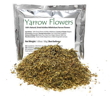 Yarrow Flowers - Ingredients: 100% Yarrow Flowers (Achillea Millefolium) - All Natural Ayurveda Herb - Net Weight: 1.05Oz / 30G