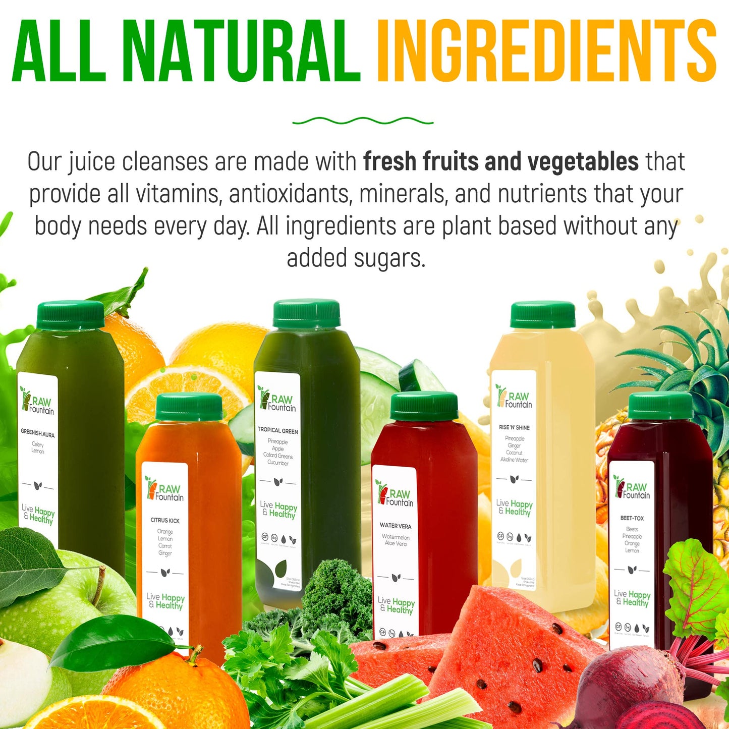 Raw Fountain 1 Day Juice Cleanse, Tropical Flavors, All Natural Raw, Cold Pressed Fruit And Vegetable Juices, Detox Cleanse, 6 B