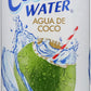 Iberia Coconut Water With Pulp 16.9 Fl Oz (Pack Of 24)