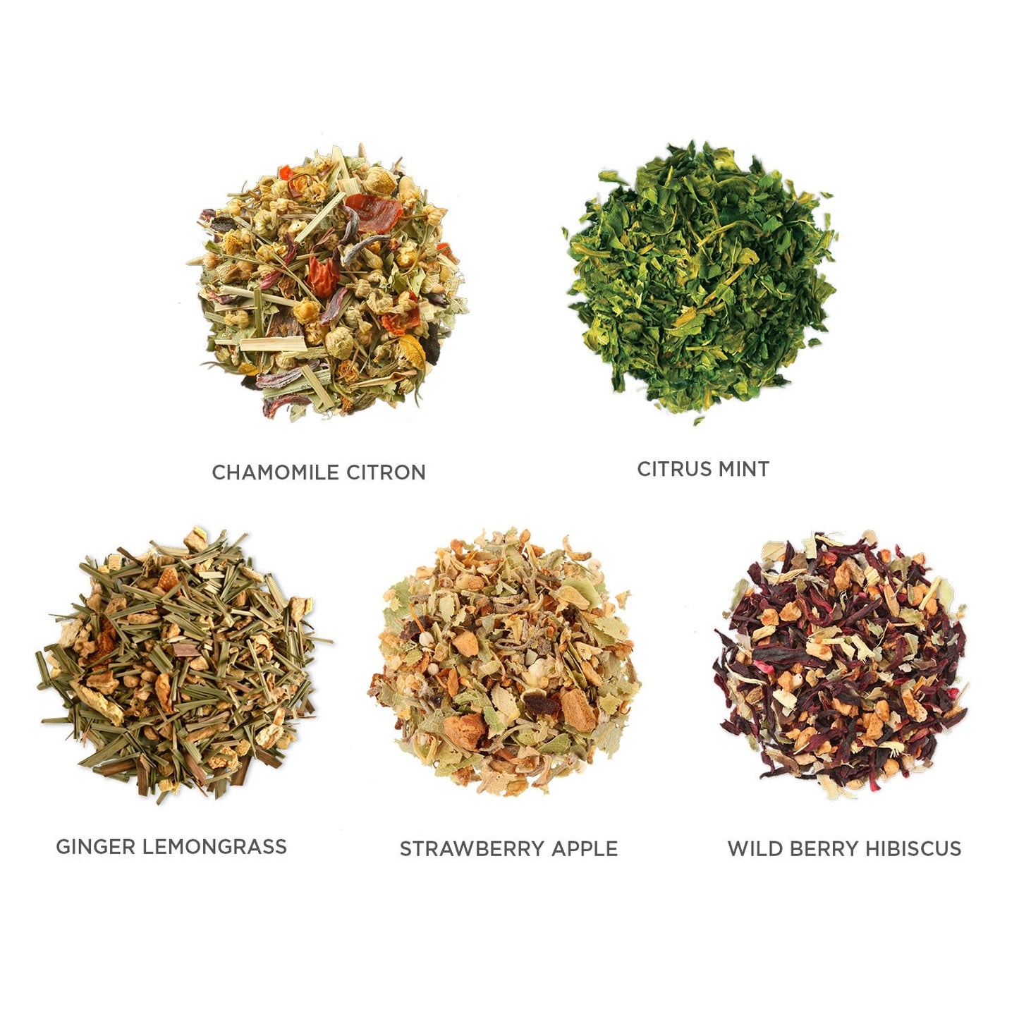 Tea Forte Single Steeps Loose Leaf Herbal Tea Sampler  Assorted Variety Tea Box  Single Serve Pouches  15 Count (Pack of 1)