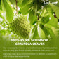 LeafLea Soursop Tea Bags - 100% Natural Graviola Leaves, Caffeine-free, Pack of 3 (120 Tea Bags)