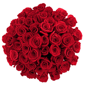 Benchmark Bouquets - 50 Stem Premium Red Roses (2 Bundles of 25; Vase Not Included) - Fresh Flowers for Delivery - Gift for Grad