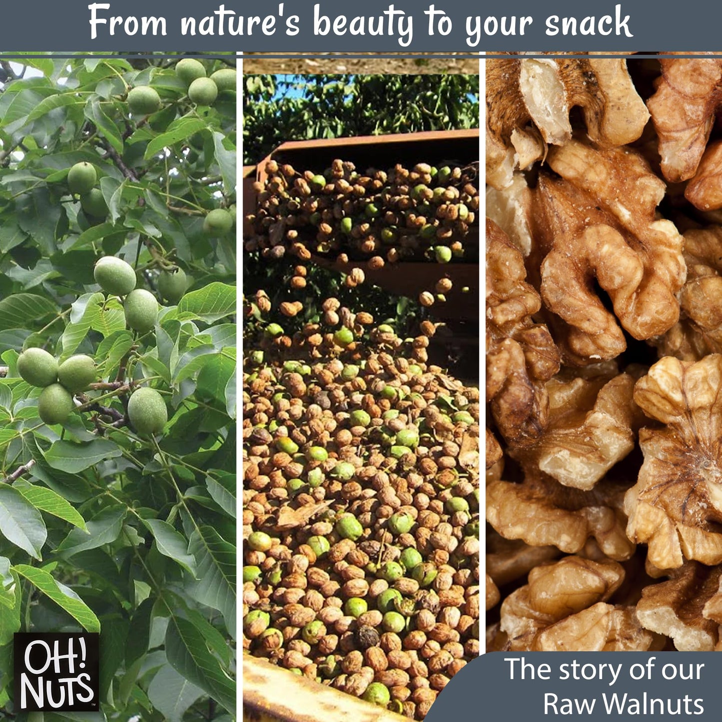 Walnuts Halves & Pieces | Raw - 100% Natural | 2 Lb | Raw Unshelled Walnuts | Packed In New York Zip-Seal Bag For Exceptional Freshness By Oh Nuts