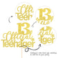 1 Pcs 13 Official Teenager Cake Topper Glitter 13Th Birthday Cake Pick Decorations For Teen 13Th Birthday Party Supplies Gold
