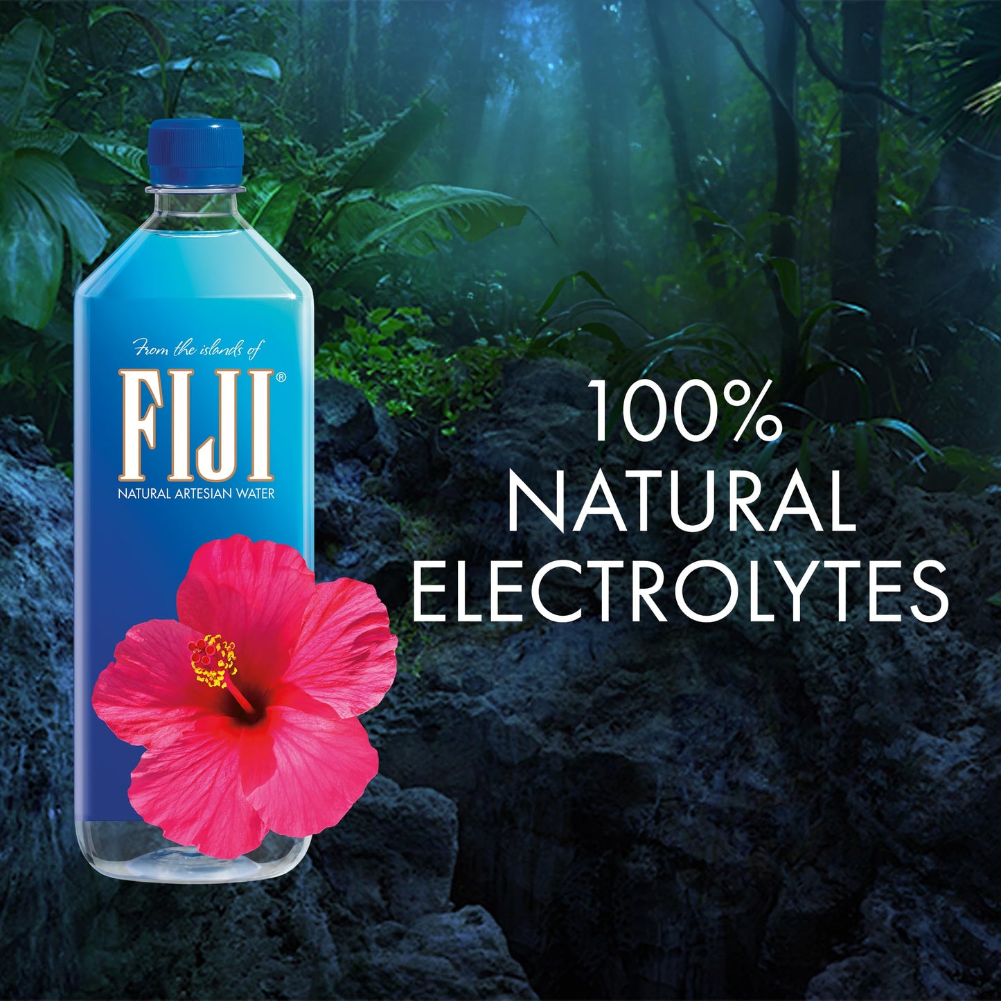 Fiji Natural Artesian Water, 33.8 Fl Ounce Bottle (Pack Of 6)
