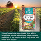 Eden Organic Pinto Beans, 15 Oz Can (12-Pack), No Salt Added, Non-Gmo, Gluten Free, Vegan, Kosher, U.S. Grown, Heat And Serve, Macrobiotic, Frijol Pinto