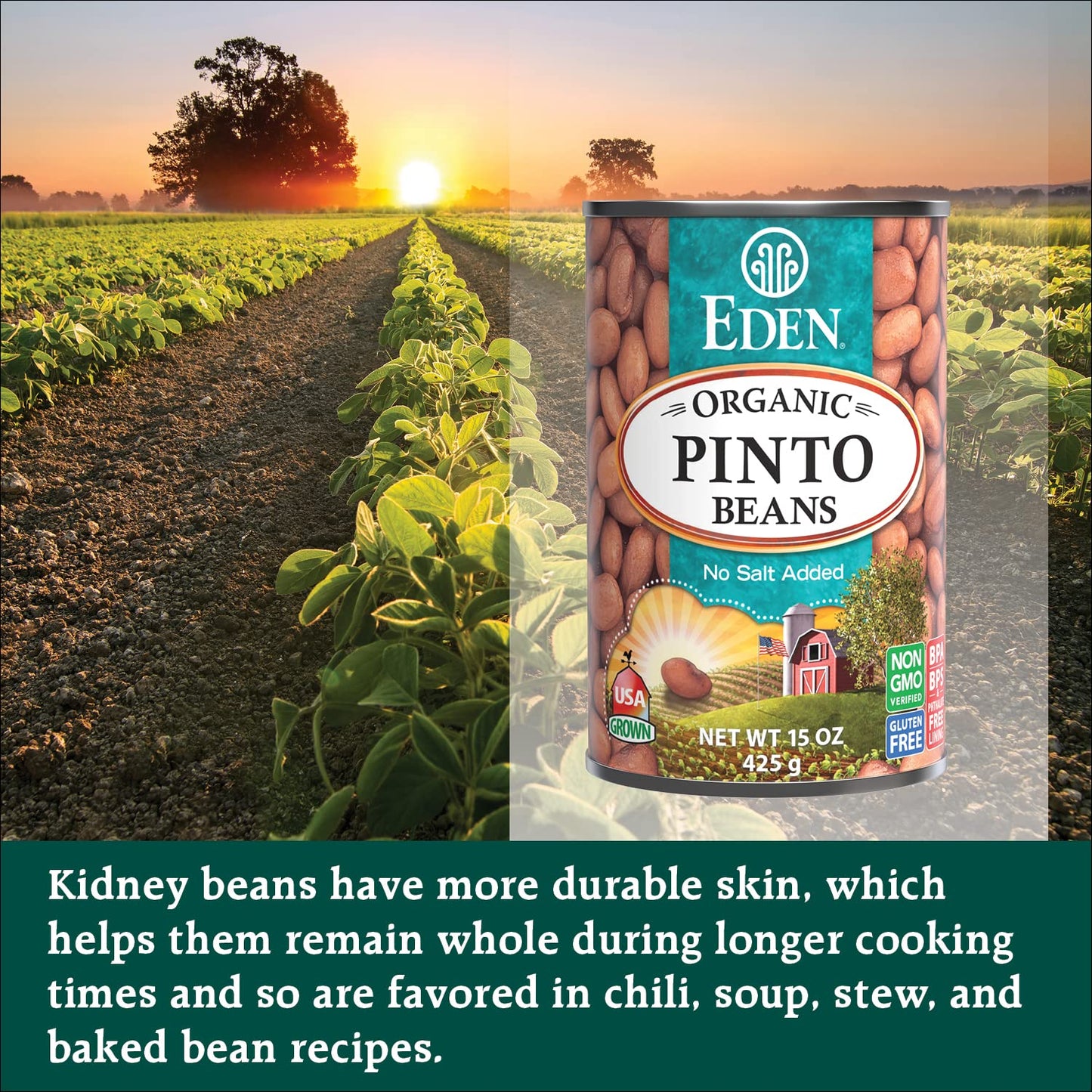 Eden Organic Pinto Beans, 15 Oz Can (12-Pack), No Salt Added, Non-Gmo, Gluten Free, Vegan, Kosher, U.S. Grown, Heat And Serve, Macrobiotic, Frijol Pinto