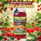 Biolore Cherry Pie Sea Moss Gel 16 Oz - No Added Sugar, Vegan, Made In Usa - Wildcrafted Sea Moss Superfood With 92 Essential Vitamins - Ready To Use, No Prep Needed