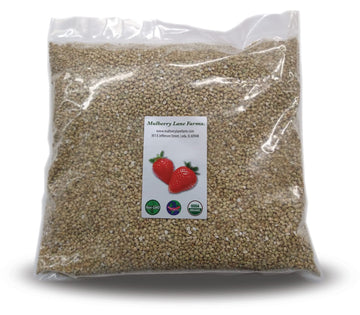 Buckwheat, 5 Pounds Usda Certified Organic, Non-Gmo, Hulled, Whole, (Groats) Bulk, Product Of Usa, Mulberry Lane Farms