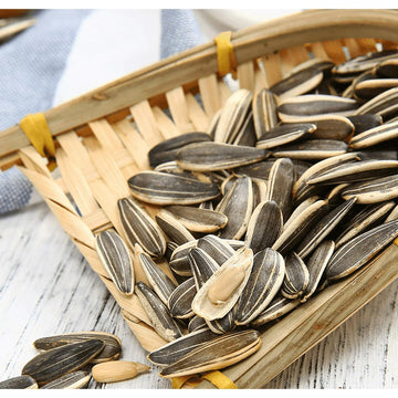 ChaCha Roasted Sunflower Seeds - Plain 250G (Pack of 3)