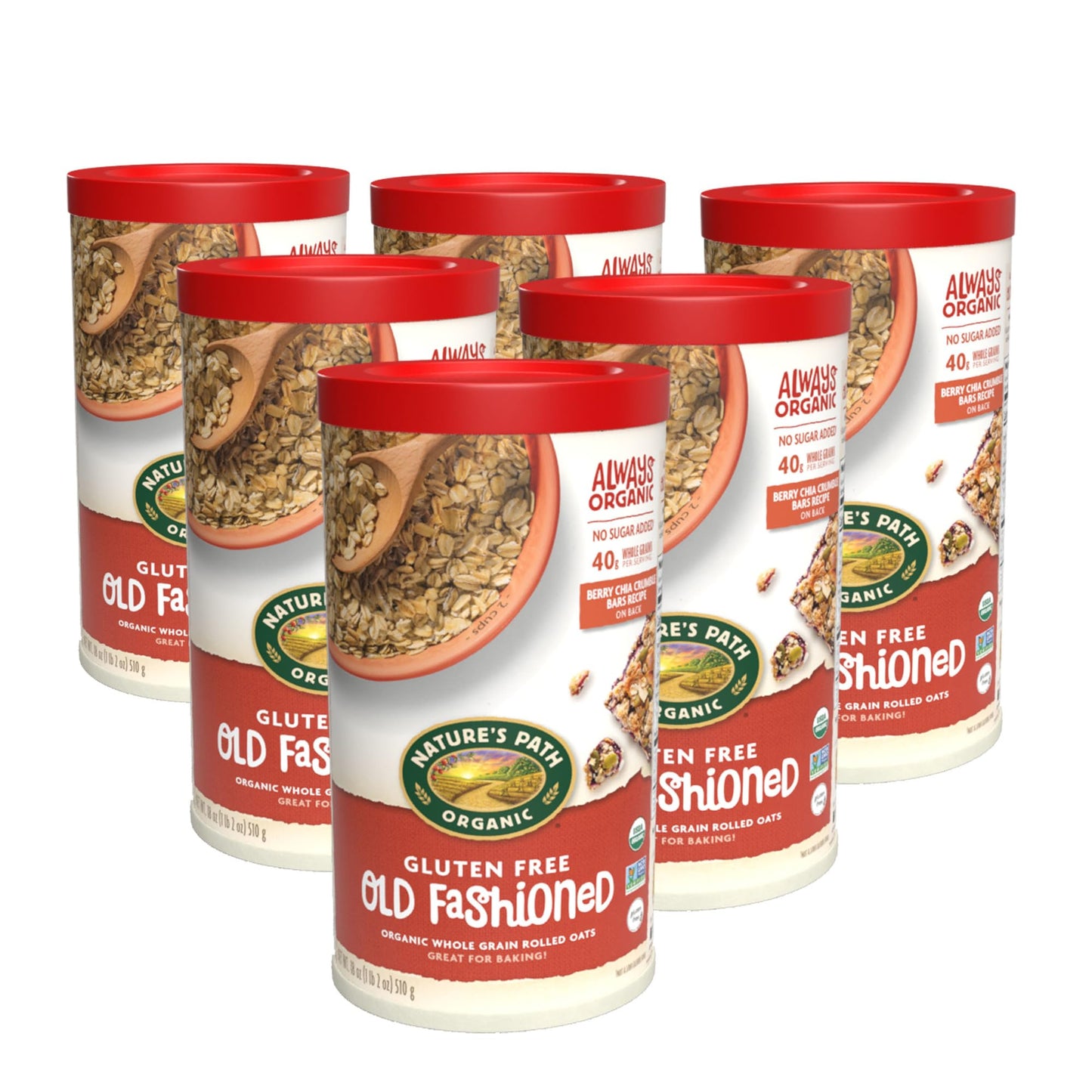 Nature'S Path Organic Old Fashioned Oats Oatmeal, 18 Oz (Pack Of 6), Gluten Free, Non-Gmo