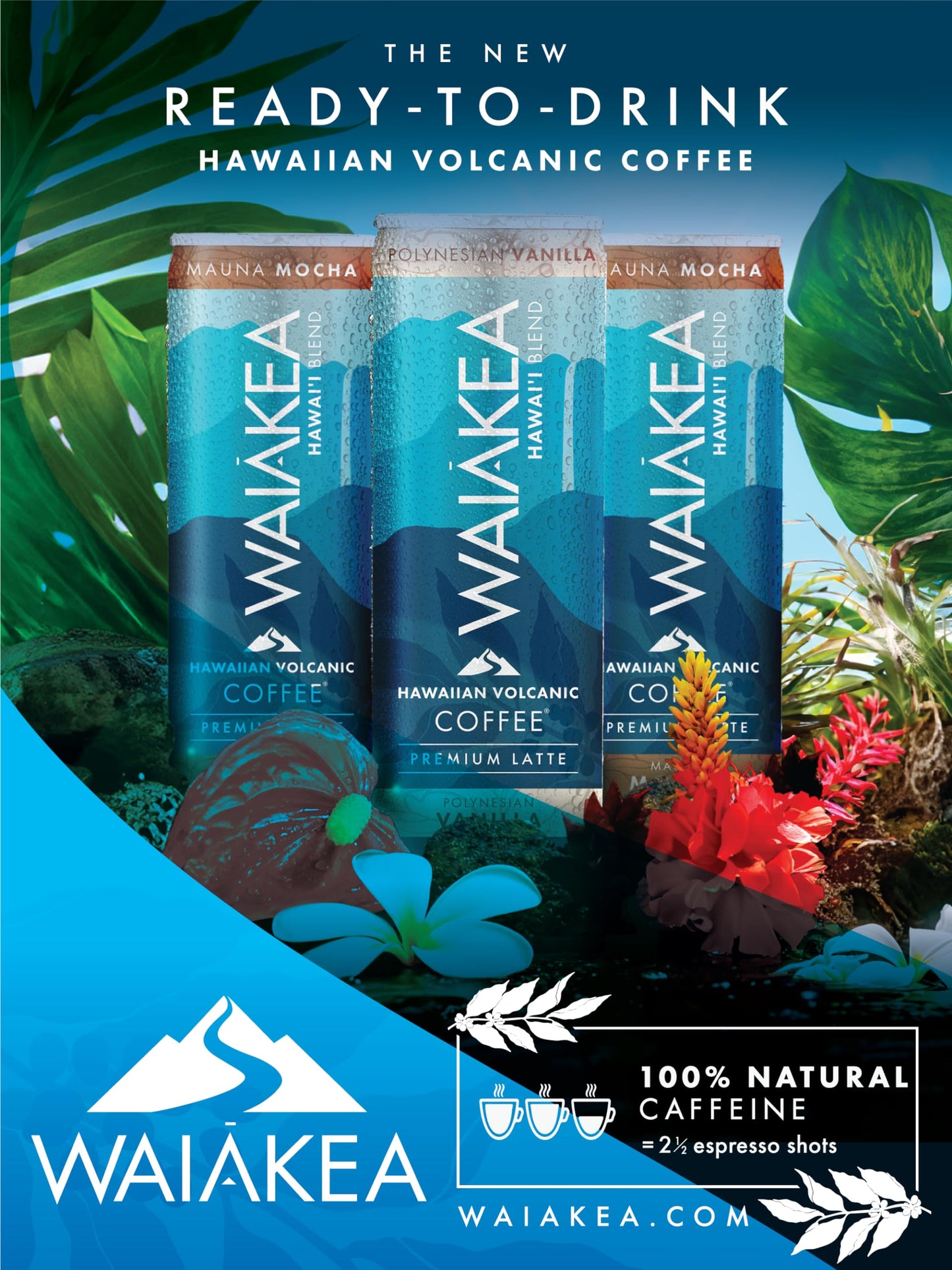 Waiakea Hawaiian Volcanic Coffee - Vanilla & Mocha Combo Pack - Ready to Drink Canned Coffee