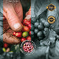 Lattenda Alo Bien Specialty Coffee Whole Bean Café Especial Colombiano 1 LB