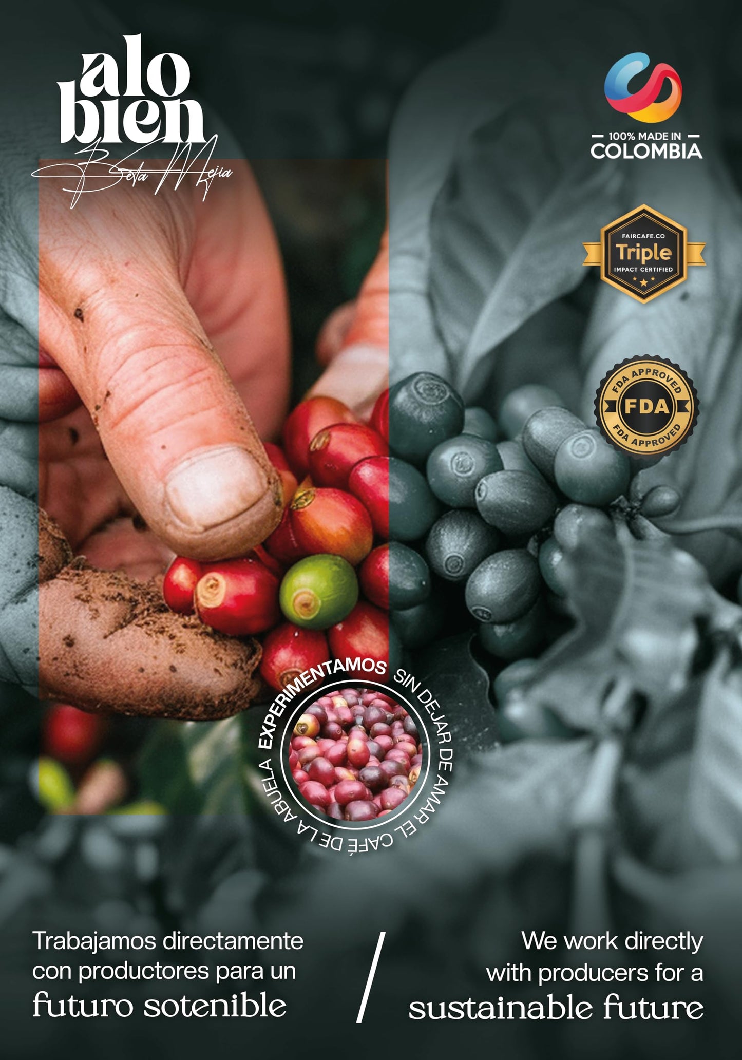Lattenda Alo Bien Specialty Coffee Whole Bean Café Especial Colombiano 1 LB
