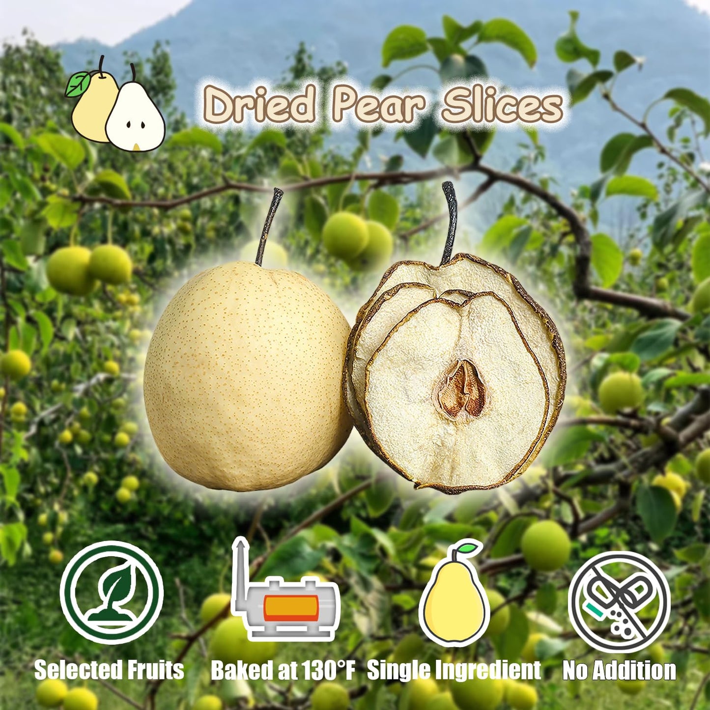Kachikachi Selected Dried Pears Slices-250G/8.8Oz, Natural Dehydrated Pears Chips | No Sugar Added | Middle Pieces | Not Peeled, Dried Fruit Slices As Snacks, Potpourri/Cocktail/Candle Decor