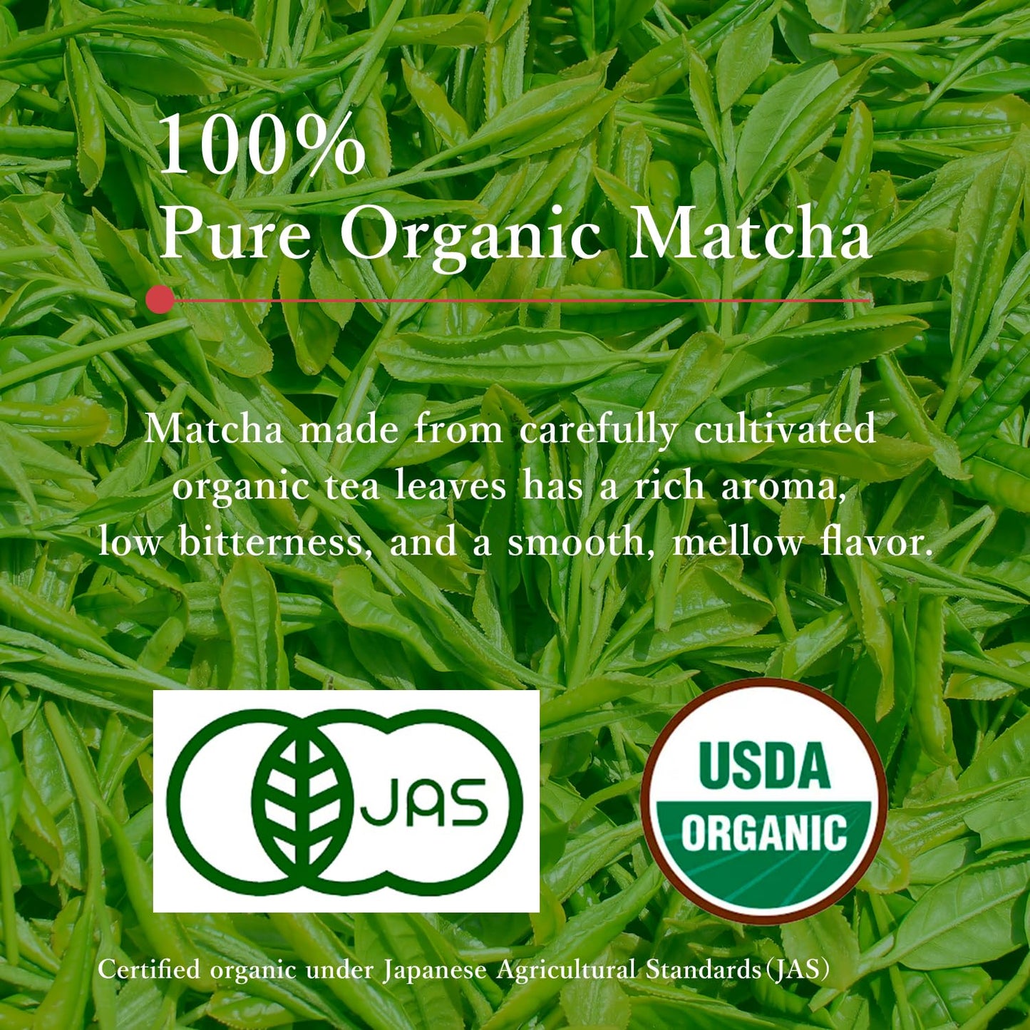 MIKAN YAMA ZEN GREEN Organic Matcha Powder, Ceremonial Grade, 50g (1.75oz), Single Origin from Shizuoka, Japan