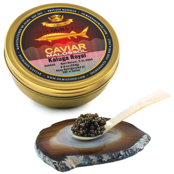OVERNIGHT SHIPPING- OLMA Kaluga Sturgeon Black Caviar - Large Pearly Grains, Smooth Flavor, Superior Grade - 8.8 oz / 250 g