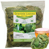 Gabio Green Soursop Leaves, Dried Herbs, Resealable Bag, 4.5 oz, Non-GMO, Gluten Free, Approx. 350 Leaves