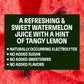 Evolution Fresh Mighty Watermelon Cold-Pressed Vegetable & Fruit Juice Blend 32 oz.