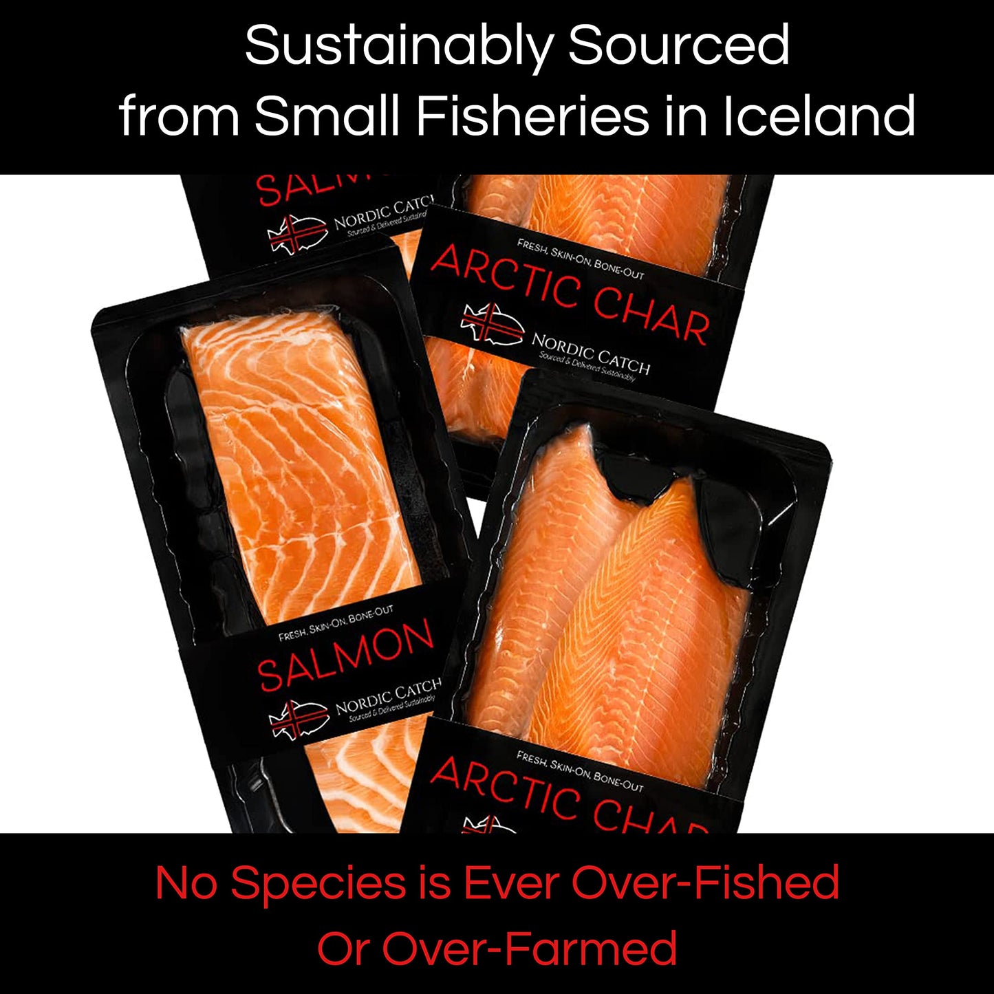 Nordic Catch, Fresh Salmon & Arctic Char Freshly Packed O-Mega Bundle From Iceland - Never Frozen, Sustainably Sourced, Air-Tigh