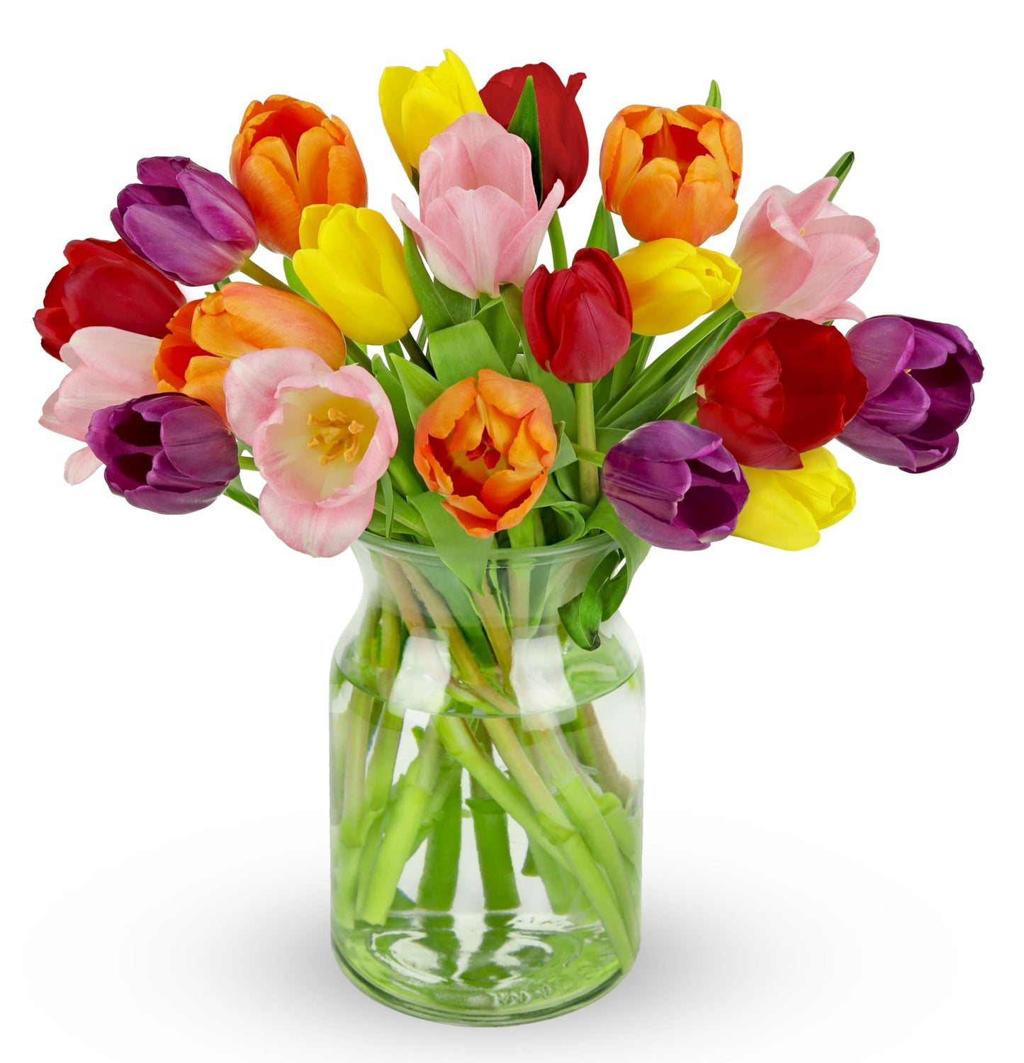 Benchmark Bouquets - 20 Stem Rainbow Tulips (Glass Vase Included) - Fresh Flowers for Delivery - Gift for Graduation, Birthday, 