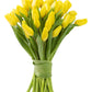 Blooms2Door 30 Yellow Tulips - Fresh Farm-Grown Flowers for Birthdays, Sympathy, Anniversaries, and More