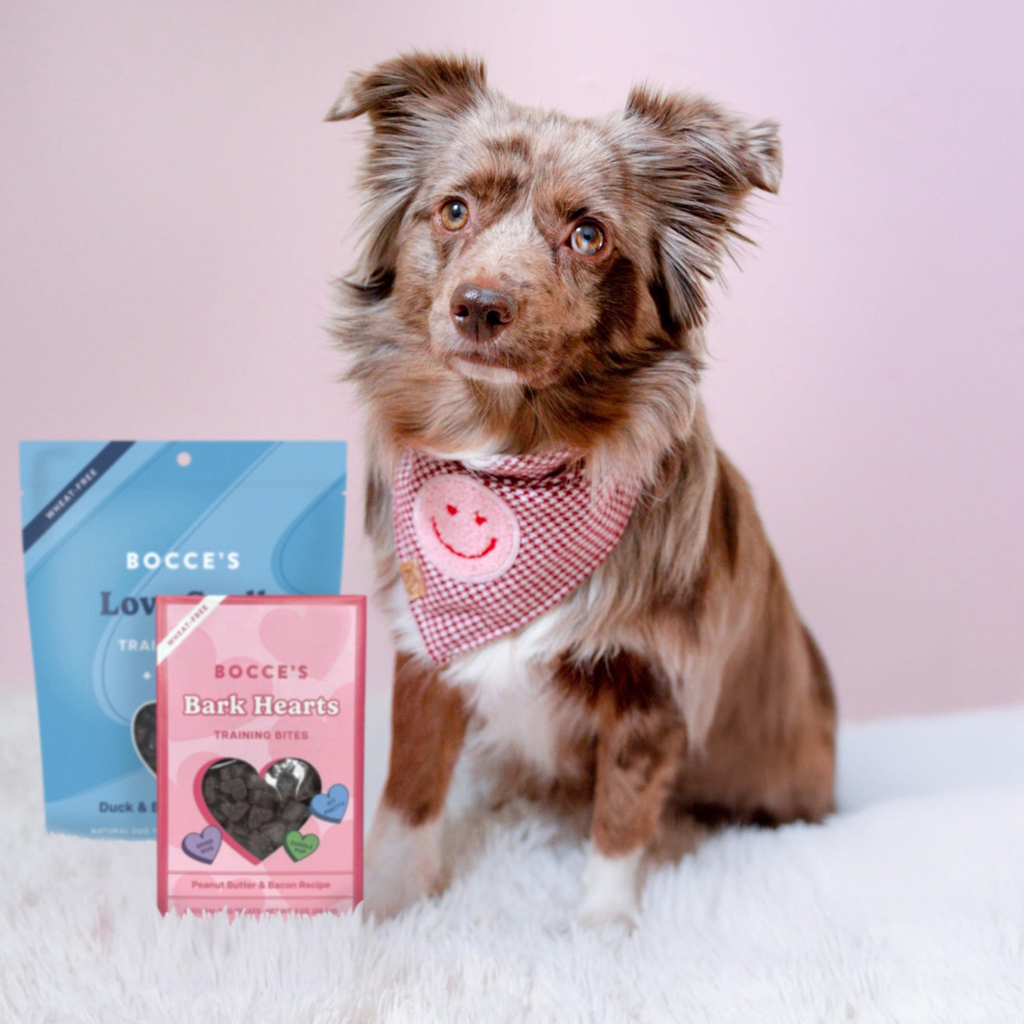 Bocce'S Bakery Valentine'S Day Training Bites Bundle