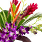 Fresh Orchids And Tropical Flower Bouquet, Purple Orchids, Red Ginger, Heliconia, Mixed Foliage, Hawaiian - Prime Quality - Perf