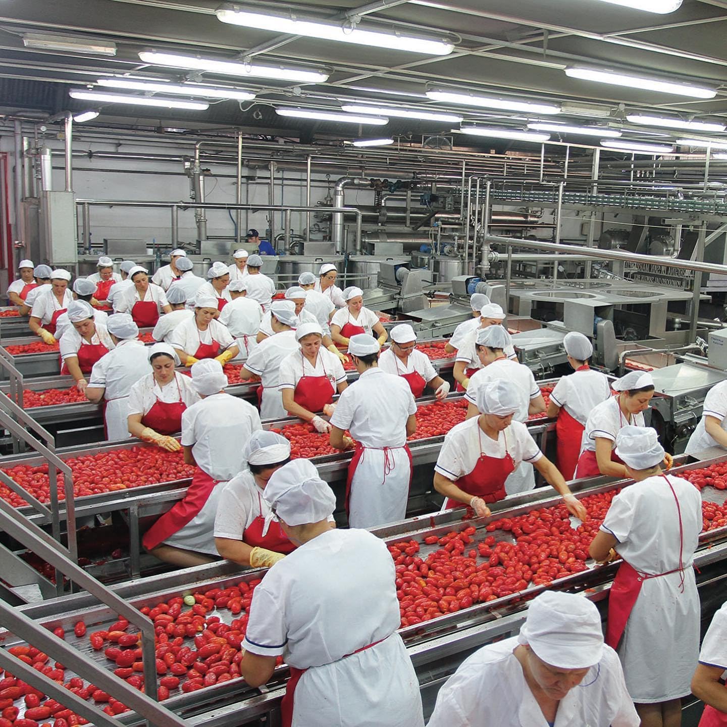 6 Pack, La San Marzano, Italian Whole Peeled Tomatoes In Puree With Basil, Non- Dop, Packed In San Marzano, Product Of Italy, 6