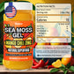 Biolore Mango Chili Zing Sea Moss Gel 16 Oz - No Added Sugar, Vegan, Made In Usa - Wildcrafted Sea Moss Superfood With 92 Essential Vitamins - Ready To Use, No Prep Needed