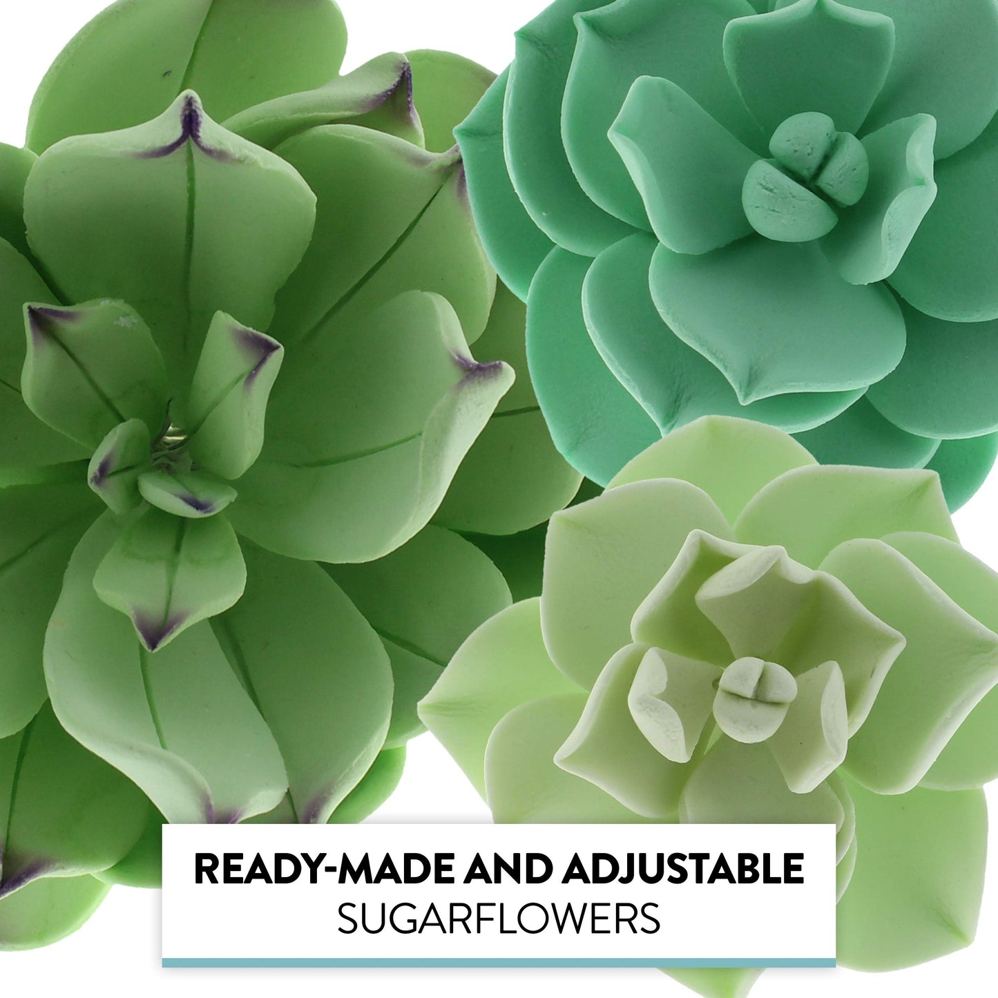Global Sugar Art Succulents Set Sugar Cake Flower, 3 Sizes, 9 Count By Chef Alan Tetreault