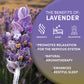Worldwide Botanicals Organic Lavender Flowers, 1 Lb, Pure European Lavender Buds, Perfect For Aromatherapy, Sachets, Wedding Cel