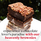 David'S Cookies Assorted Brownies Gift Tin - 20 Slices Of Individually Wrapped Gourmet Brownies - Delicious Variety Of Flavors,