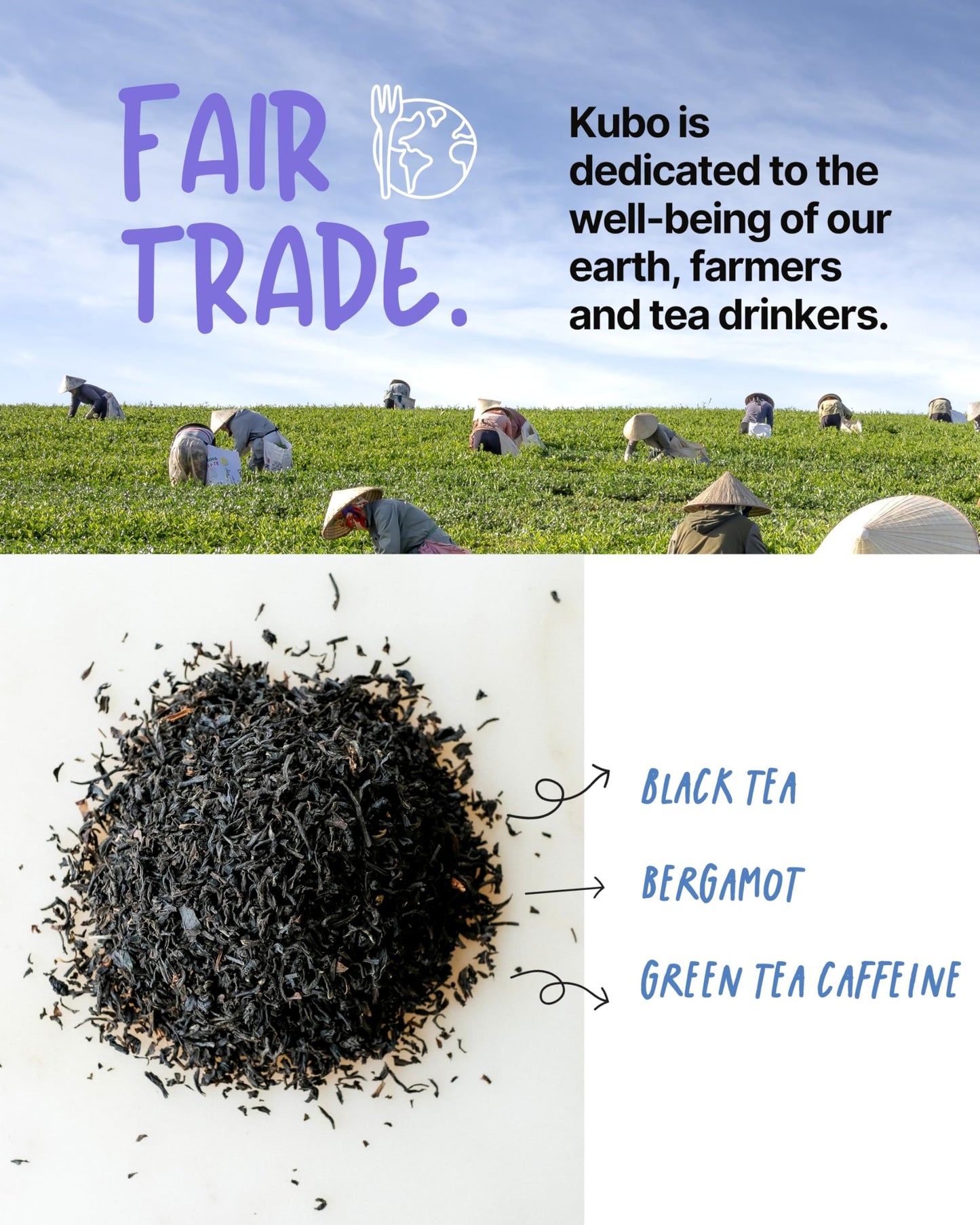 High Caffeine Tea (155 Mg) - Kubo Tea: Organic Earl Grey Black Tea Bags For Clean Energy & Focus | Healthy Coffee Substitute | Bergamot Caffeine Blend | 20 Ct | Compostable Packaging