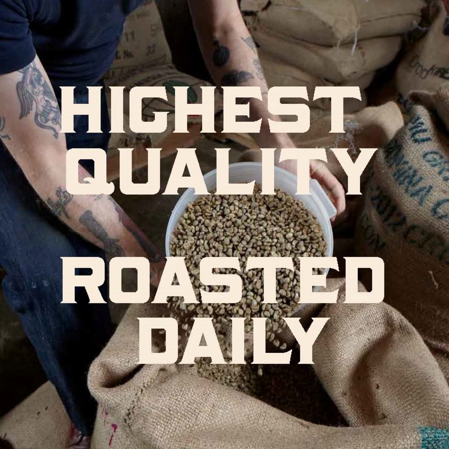 Stumptown Coffee Roasters, Medium Roast Ground Coffee - Hair Bender 12 Ounce Bag, Flavor Notes of Citrus and Dark Chocolate (Pac