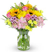 Benchmark Bouquets - Rays of Sunshine (Glass Vase Included) - Fresh Flowers for Delivery - Gift for Graduation, Birthday, Annive
