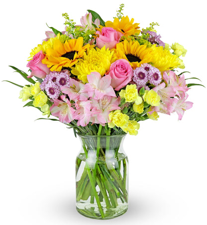 Benchmark Bouquets - Rays of Sunshine (Glass Vase Included) - Fresh Flowers for Delivery - Gift for Graduation, Birthday, Annive
